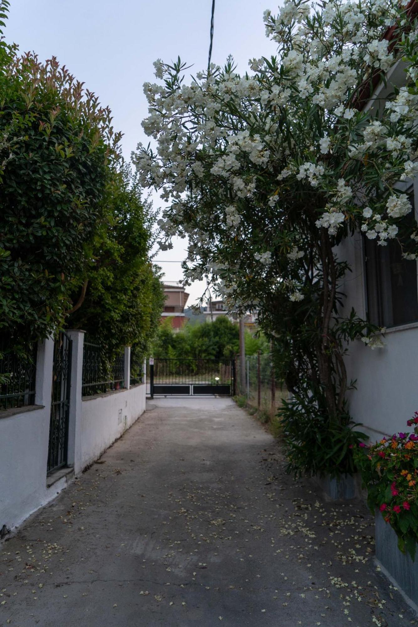 Villa Terrazzo House Platamonas Exterior foto